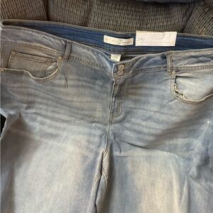 NWT Cato Bermuda shorts size 24w